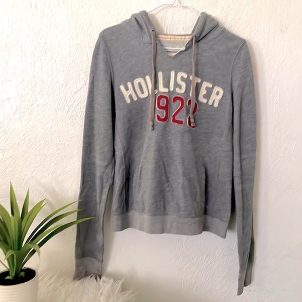 Gray Hollister Hoodie Size Large